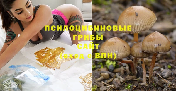 apvp Нязепетровск