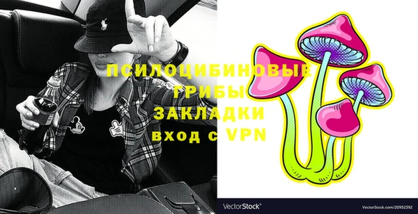 бутират Няндома