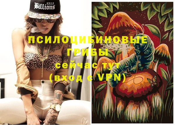 гашик Осташков