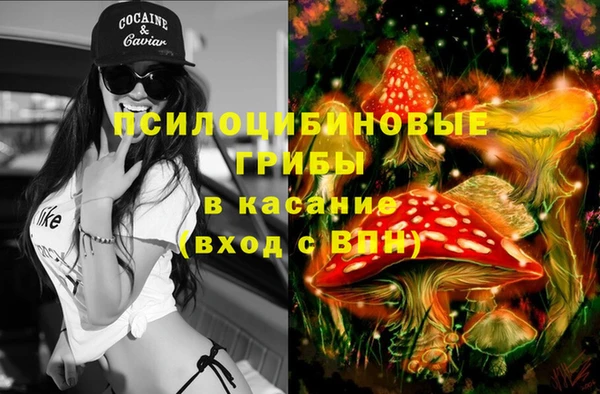 PSILOCYBIN Заволжье