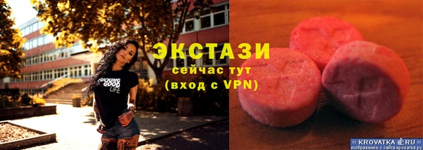 индика Березники
