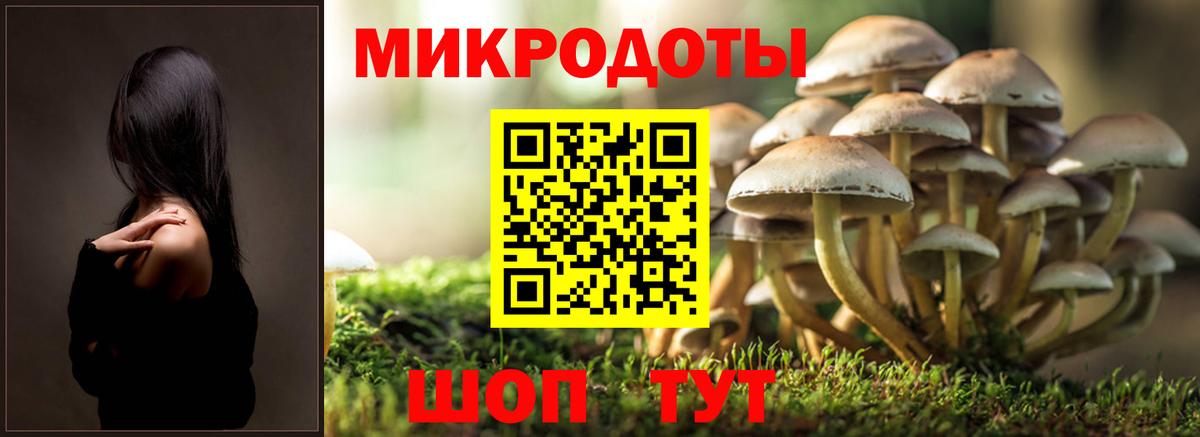 Кудымкар  Галлюциногенные грибы Psilocybine cubensis  Вход с VPN 